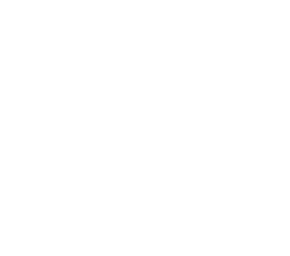 Skye roof icon