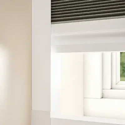A close up picture of nightshade blinds